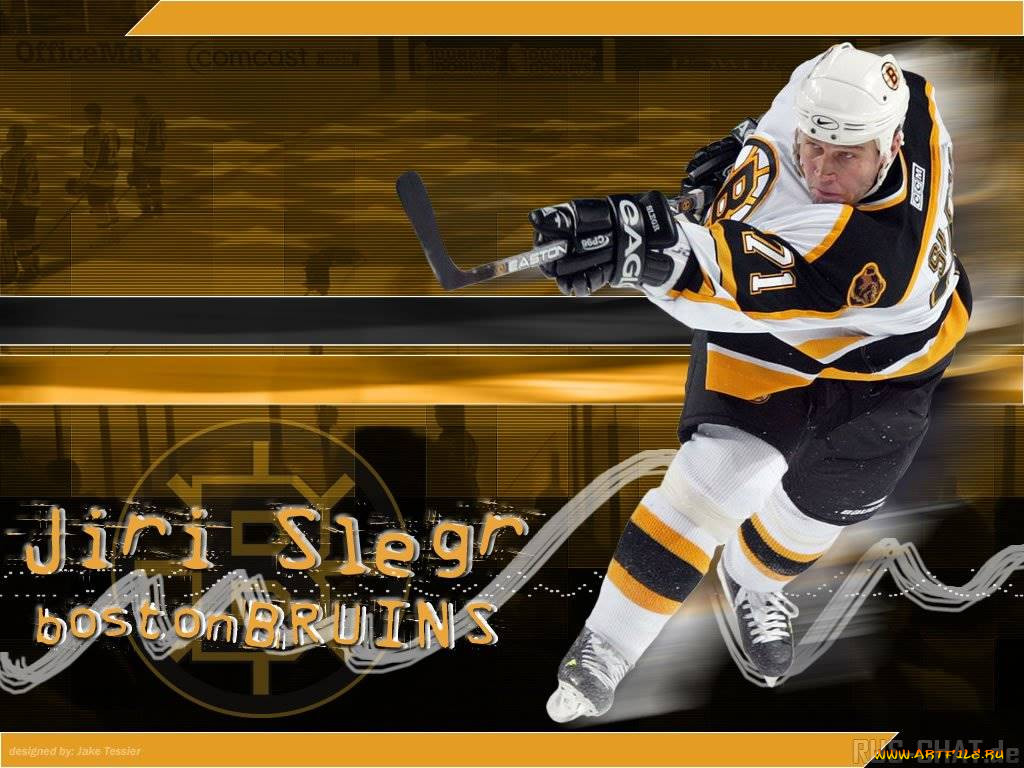 slegr, , nhl